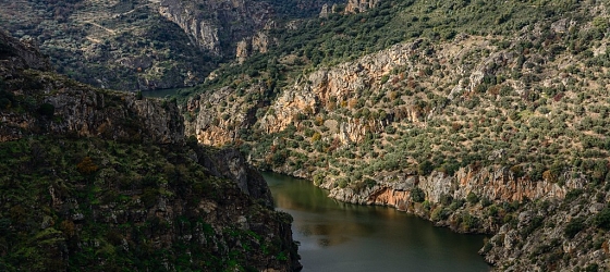 Conoce y disfruta de los destinos más impresionantes de Zamora