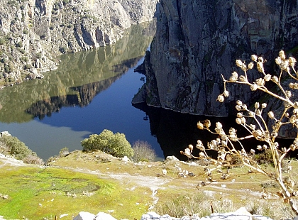 Crucero ambiental Parque Natural de los Arribes del Duero