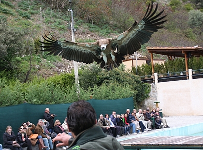 Crucero ambiental Parque Natural de los Arribes del Duero