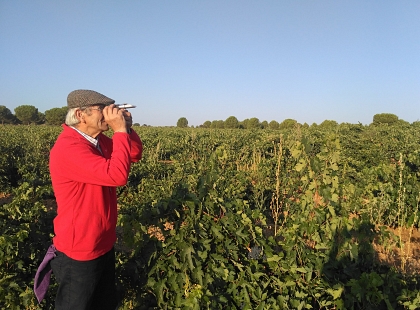 Cultura y Gastronomía en la D.O. Toro