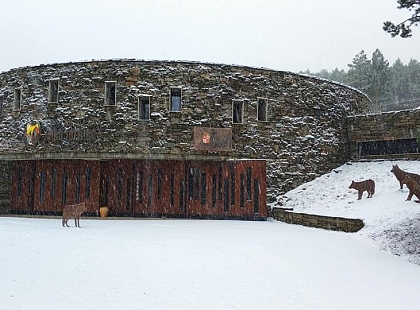 Entrada Centro del Lobo Félix Rodriguez de la Fuente