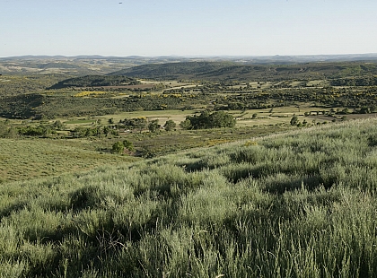 Pradera en la sierra para avistamiento 