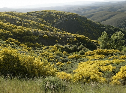 Sierra de la Culebra 